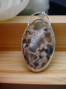 Ocean Jasper and Silver necklace