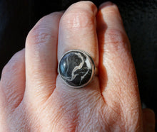 Load image into Gallery viewer, White Buffalo and silver Ring Size 7 3/4 - 8