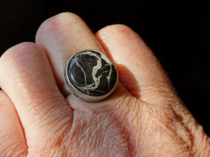White Buffalo and silver Ring Size 7 3/4 - 8